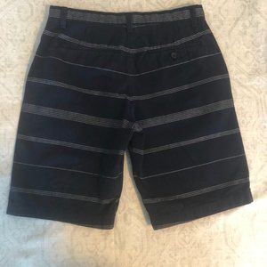 Banana Republic blue striped summer shorts